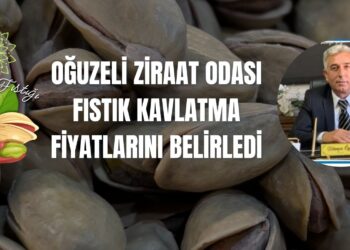 OĞUZELİ ZİRAAT ODASI FISTIK KAVLATMA FİYATLARINI BELİRLEDİ