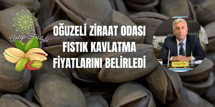 OĞUZELİ ZİRAAT ODASI FISTIK KAVLATMA FİYATLARINI BELİRLEDİ