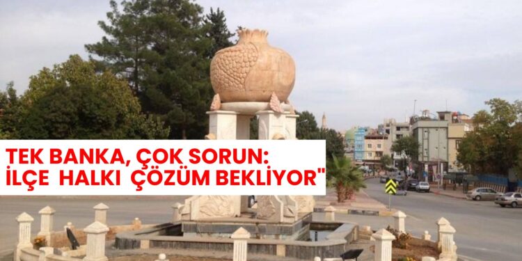 TEK BANKA, ÇOK SORUN İLÇE HALKI ÇÖZÜM BEKLİYOR