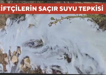 ÇİFÇİLERİN SAÇIR SUYU TEPKİSİ