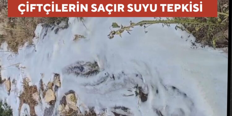 ÇİFÇİLERİN SAÇIR SUYU TEPKİSİ