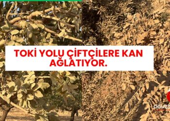 TOKİ YOLU ÇİFTÇİLERE KAN AĞLATIYOR