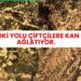 TOKİ YOLU ÇİFTÇİLERE KAN AĞLATIYOR
